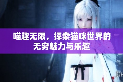 喵趣无限，探索猫咪世界的无穷魅力与乐趣