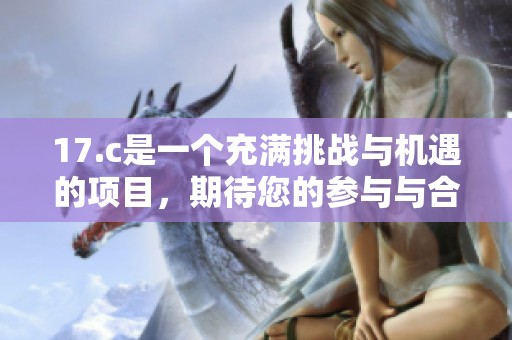 17.c是一个充满挑战与机遇的项目，期待您的参与与合作。