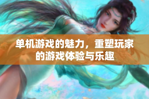 单机游戏的魅力，重塑玩家的游戏体验与乐趣
