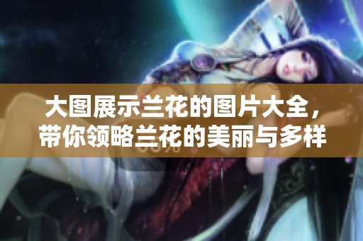 大图展示兰花的图片大全，带你领略兰花的美丽与多样风采