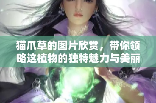 猫爪草的图片欣赏，带你领略这植物的独特魅力与美丽风采