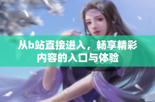 从b站直接进入，畅享精彩内容的入口与体验