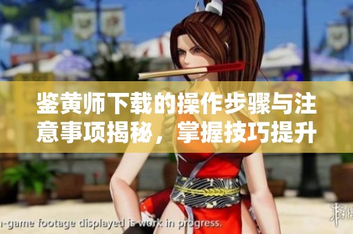 鉴黄师下载的操作步骤与注意事项揭秘，掌握技巧提升工作效率