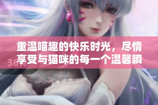 重温喵趣的快乐时光，尽情享受与猫咪的每一个温馨瞬间
