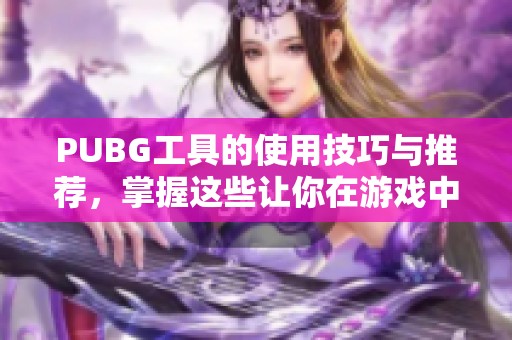 PUBG工具的使用技巧与推荐，掌握这些让你在游戏中更加轻松