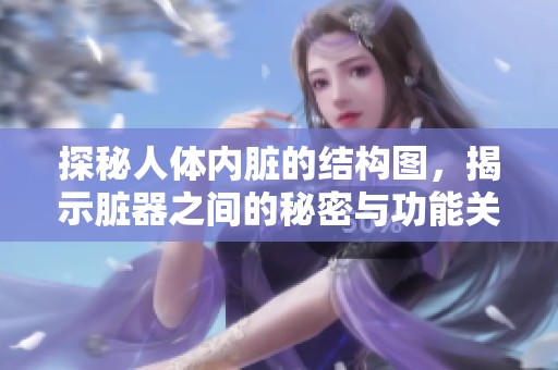 探秘人体内脏的结构图，揭示脏器之间的秘密与功能关系