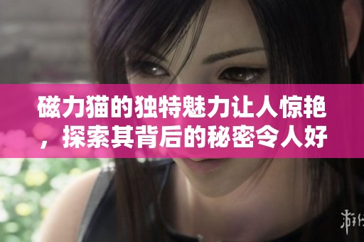 磁力猫的独特魅力让人惊艳，探索其背后的秘密令人好奇非凡。