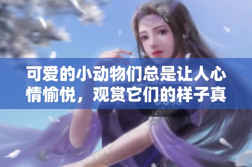 可爱的小动物们总是让人心情愉悦，观赏它们的样子真是太好玩了。