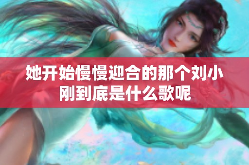 她开始慢慢迎合的那个刘小刚到底是什么歌呢