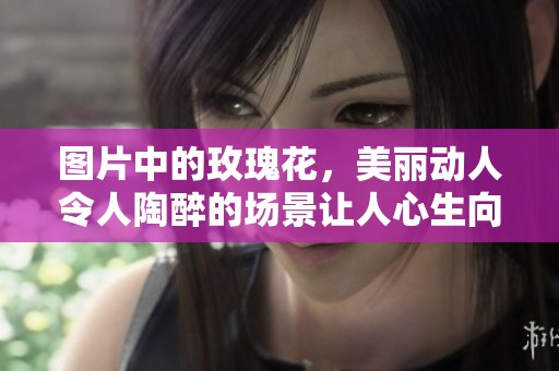 图片中的玫瑰花，美丽动人令人陶醉的场景让人心生向往