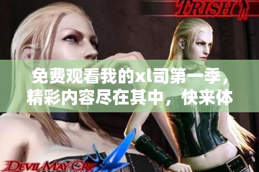 免费观看我的xl司第一季，精彩内容尽在其中，快来体验吧！