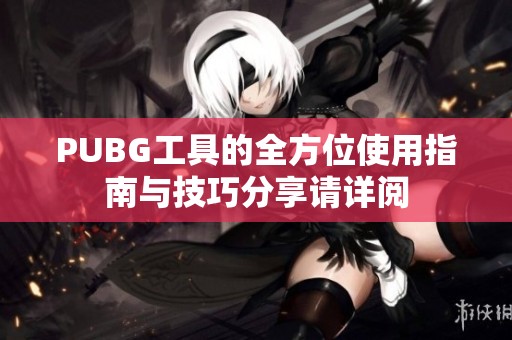 PUBG工具的全方位使用指南与技巧分享请详阅