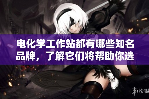 电化学工作站都有哪些知名品牌，了解它们将帮助你选购更合适的设备