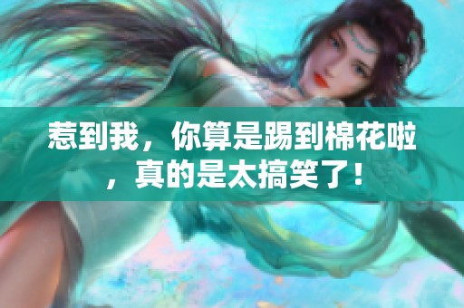 惹到我，你算是踢到棉花啦，真的是太搞笑了！