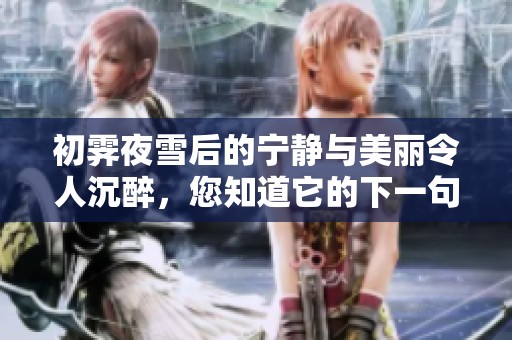 初霁夜雪后的宁静与美丽令人沉醉，您知道它的下一句是什么吗