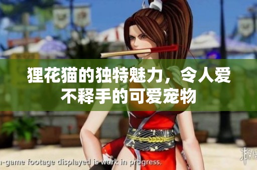 狸花猫的独特魅力，令人爱不释手的可爱宠物