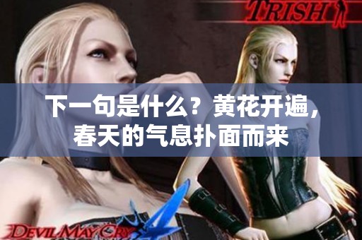 下一句是什么？黄花开遍，春天的气息扑面而来