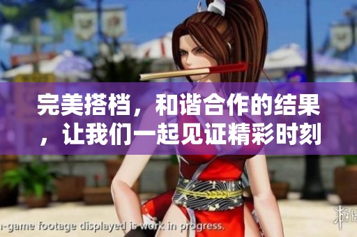 完美搭档，和谐合作的结果，让我们一起见证精彩时刻