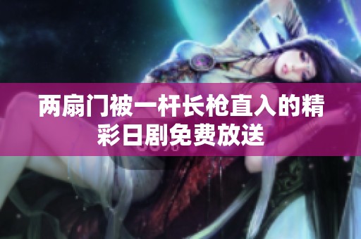 两扇门被一杆长枪直入的精彩日剧免费放送