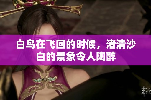 白鸟在飞回的时候，渚清沙白的景象令人陶醉