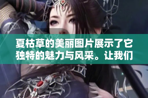 夏枯草的美丽图片展示了它独特的魅力与风采。让我们一同欣赏夏枯草的精彩瞬间。