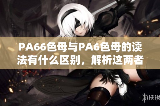 PA66色母与PA6色母的读法有什么区别，解析这两者的颜色母粒特性