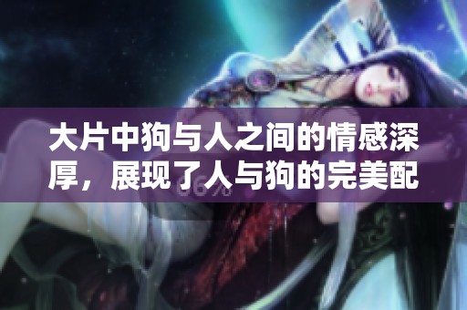 大片中狗与人之间的情感深厚，展现了人与狗的完美配合