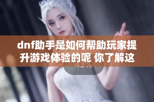 dnf助手是如何帮助玩家提升游戏体验的呢 你了解这个工具的功能吗