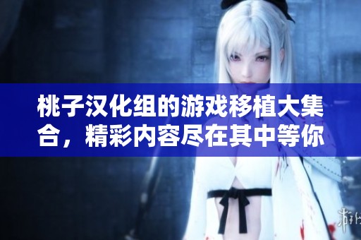 桃子汉化组的游戏移植大集合，精彩内容尽在其中等你来探索
