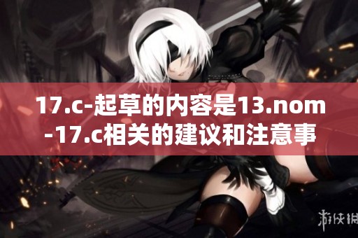 17.c-起草的内容是13.nom-17.c相关的建议和注意事项