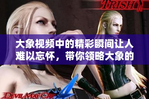 大象视频中的精彩瞬间让人难以忘怀，带你领略大象的魅力与智慧。