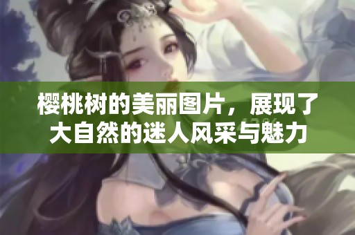 樱桃树的美丽图片，展现了大自然的迷人风采与魅力