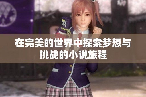 在完美的世界中探索梦想与挑战的小说旅程