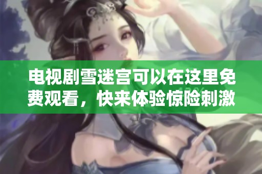 电视剧雪迷宫可以在这里免费观看，快来体验惊险刺激的剧情吧！