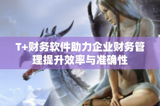 T+财务软件助力企业财务管理提升效率与准确性