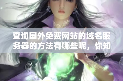 查询国外免费网站的域名服务器的方法有哪些呢，你知道吗