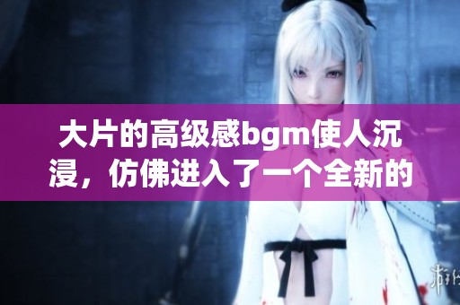 大片的高级感bgm使人沉浸，仿佛进入了一个全新的视听世界