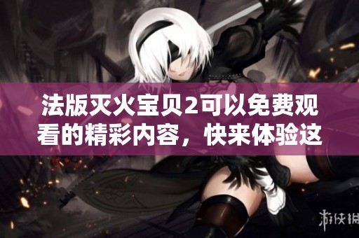 法版灭火宝贝2可以免费观看的精彩内容，快来体验这部法国作品的魅力吧