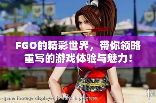 FGO的精彩世界，带你领略重写的游戏体验与魅力！