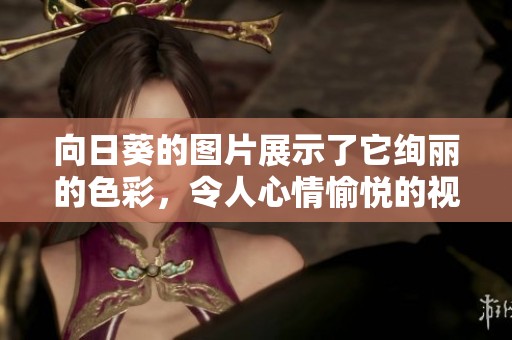 向日葵的图片展示了它绚丽的色彩，令人心情愉悦的视觉享受