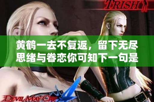 黄鹤一去不复返，留下无尽思绪与眷恋你可知下一句是什么
