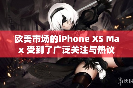 欧美市场的iPhone XS Max 受到了广泛关注与热议