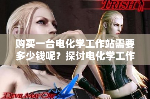 购买一台电化学工作站需要多少钱呢？探讨电化学工作站的价格问题