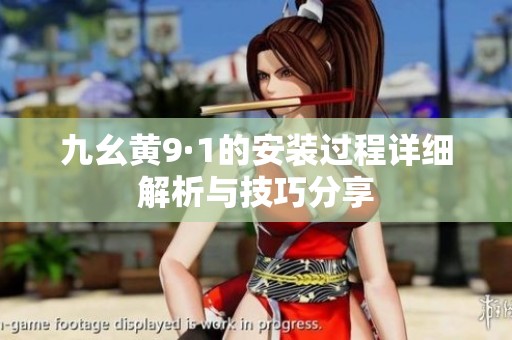九幺黄9·1的安装过程详细解析与技巧分享