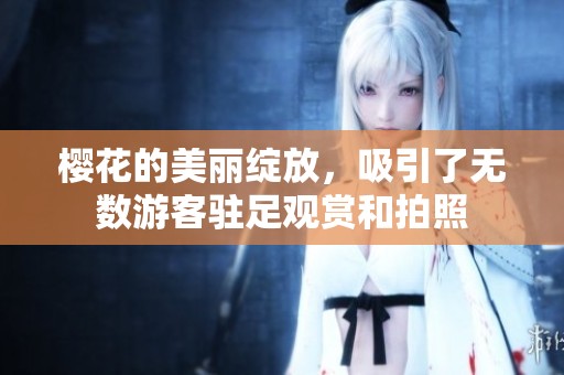 樱花的美丽绽放，吸引了无数游客驻足观赏和拍照