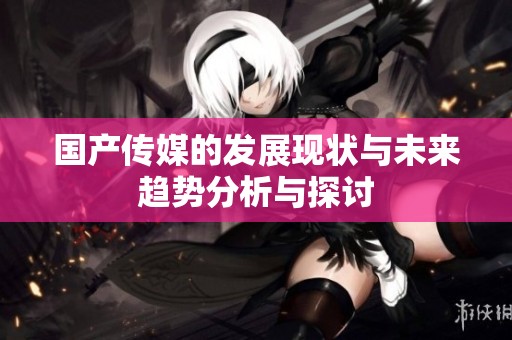 国产传媒的发展现状与未来趋势分析与探讨