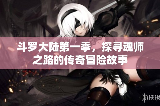 斗罗大陆第一季，探寻魂师之路的传奇冒险故事