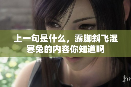 上一句是什么，露脚斜飞湿寒兔的内容你知道吗