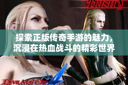 探索正版传奇手游的魅力，沉浸在热血战斗的精彩世界中