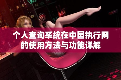 个人查询系统在中国执行网的使用方法与功能详解